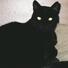 Mixed Breed (Black) Cat