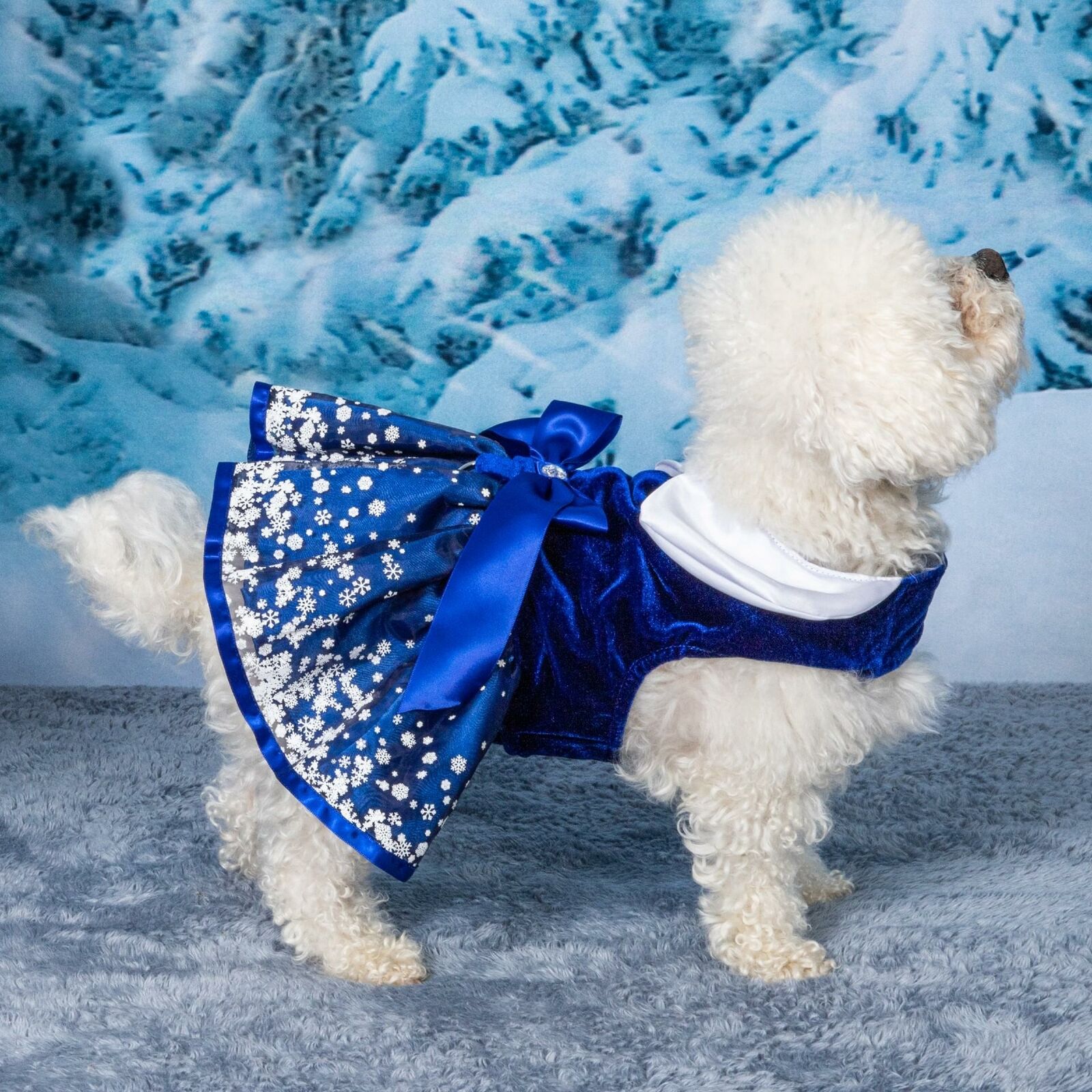 Doggie DesignBlue Velvet & Satin Snowflake Dog Dress Matching Leash XS-S-M-L-XL