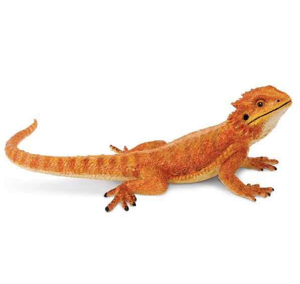 BEARDED DRAGON Lizard Replica # 263129 ~ /USA w/$25+ SAFARI, Products