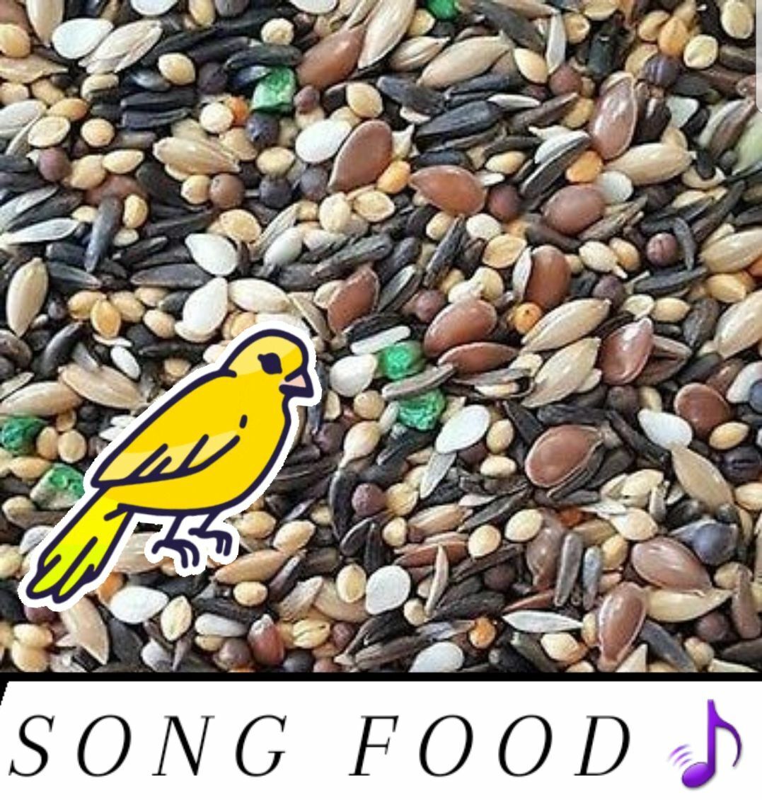 Canary Song Food Treat For Canaries FRESH From Bulk Choose Size