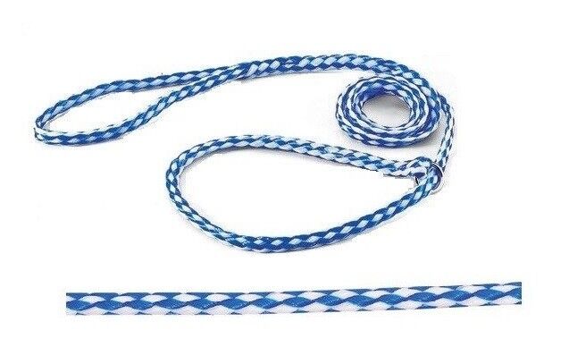 Kennel Dog Lead Bulk Packs for Dogs Heavy Poly Control Slip Style Rescue Shelter
