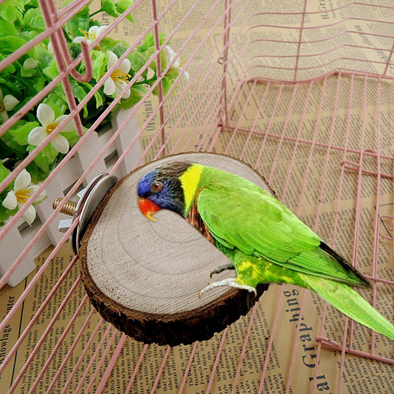 Wooden Round Coin Parrot Bird Cage Perches Stand Platform Pet Budgie Toy  & Gift