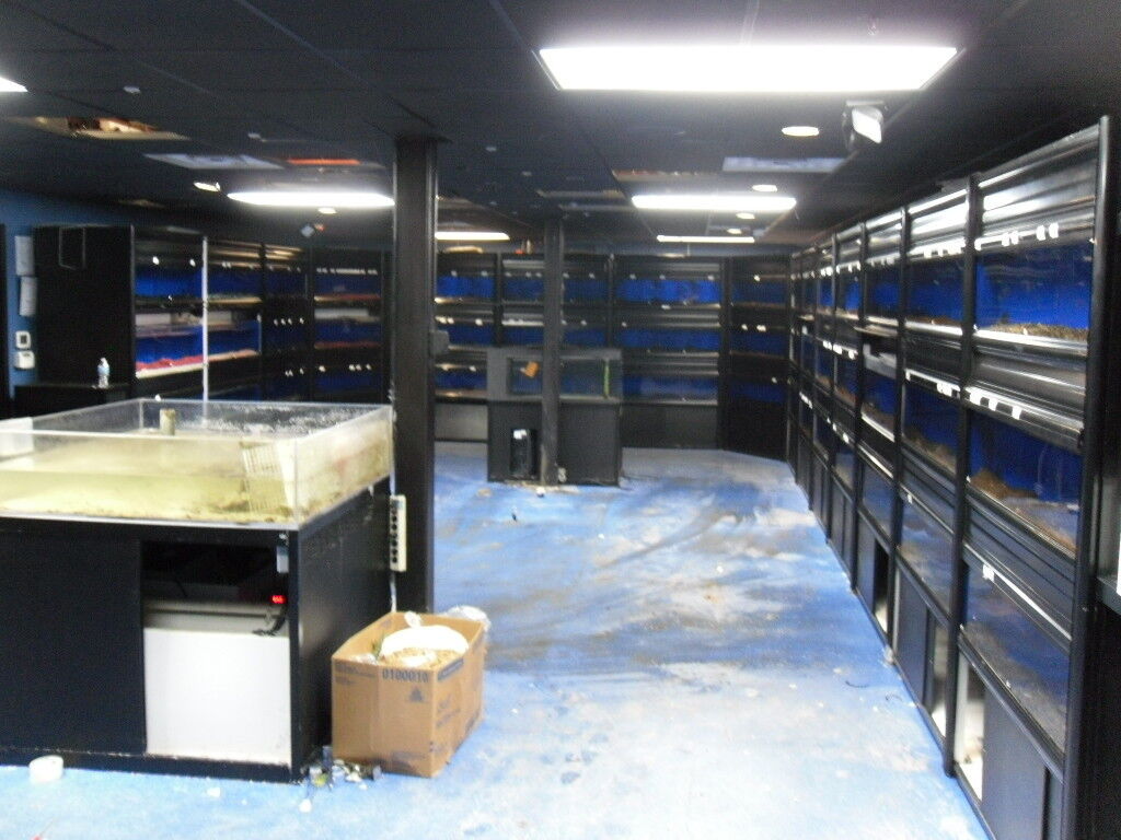 Aquatic System Casco Group Aquarium System - 45 Tank - Retail, Pet Store, Fish