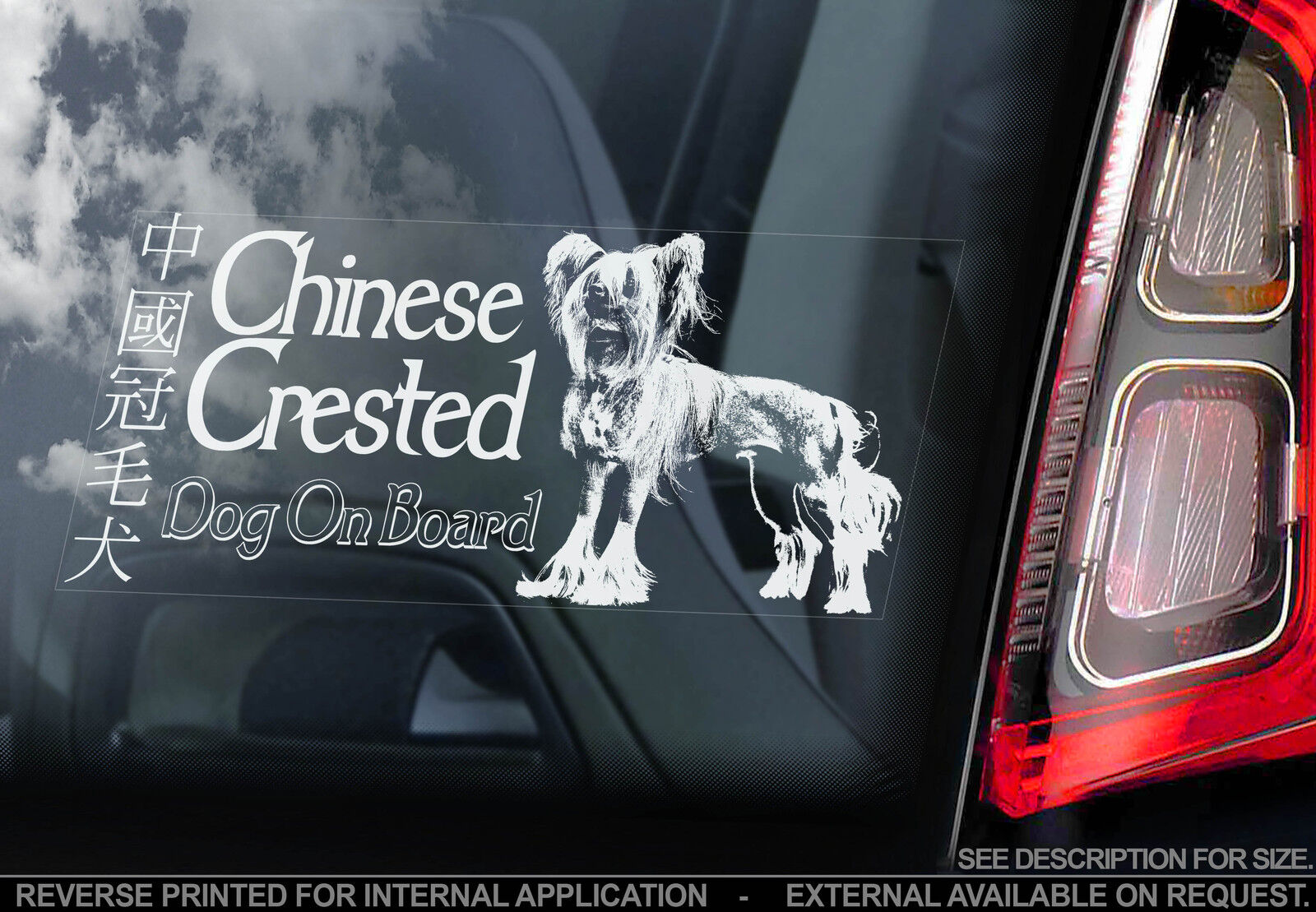 Chinese Crested Dog - Car Window Sticker - Powder Puff Hairless Art Sign - TYP1