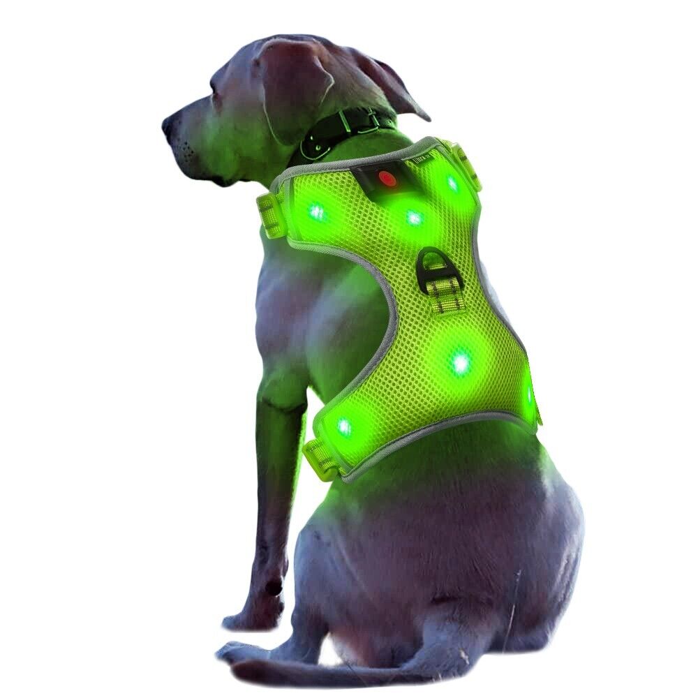 New Large Green LED Dog Harness Light Up Adjustable Flashing Safety Belt Collar