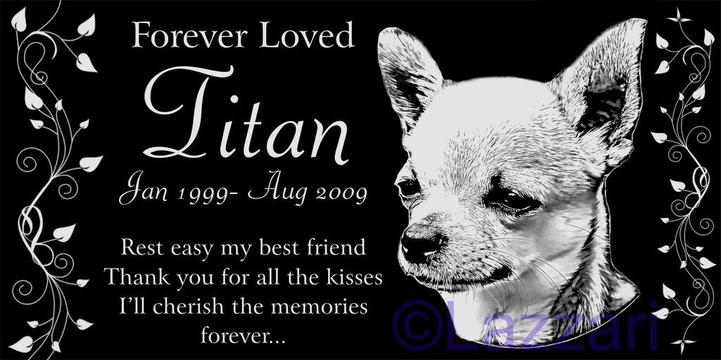 Personalized Chihuahua Dog Pet Memorial 12