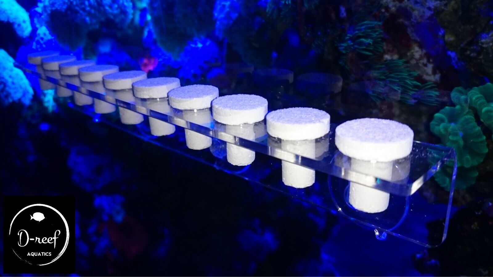 Coral frag rack for lps/sps ***with free plugs***