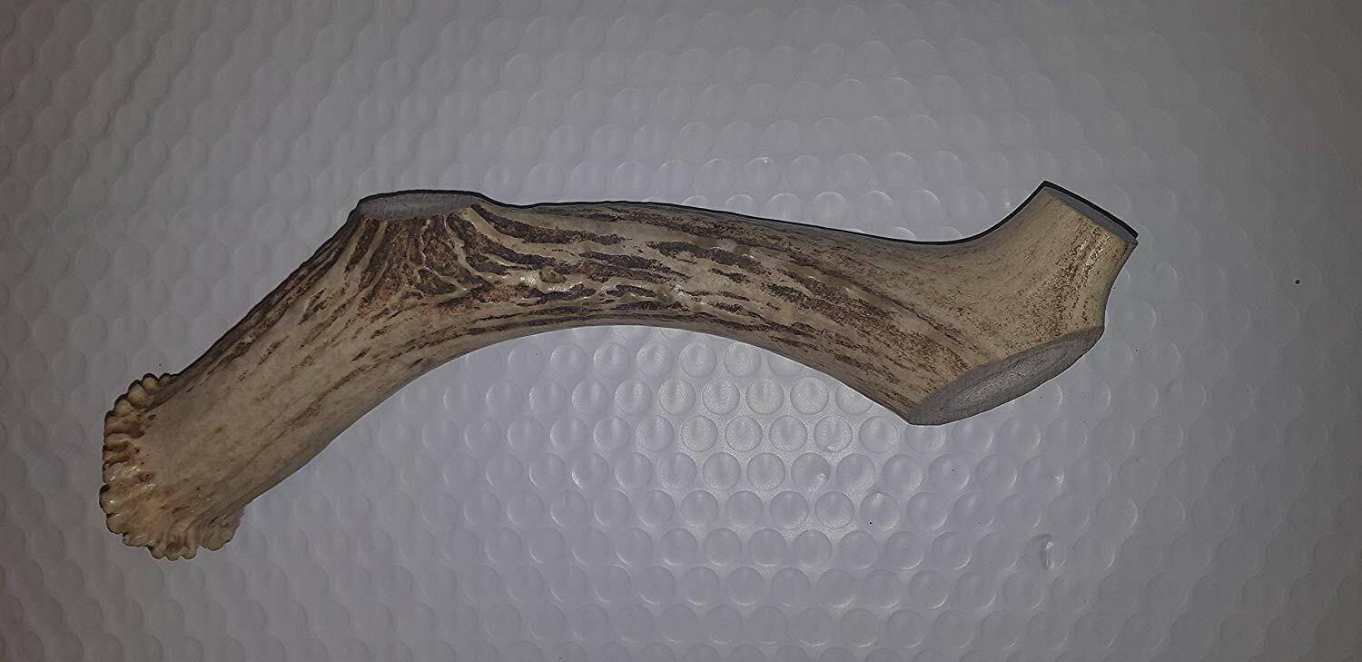 Antler Dog chew Large 7-9 inch Whitetail Deer Antler Chew for Dogs,heavy chewers