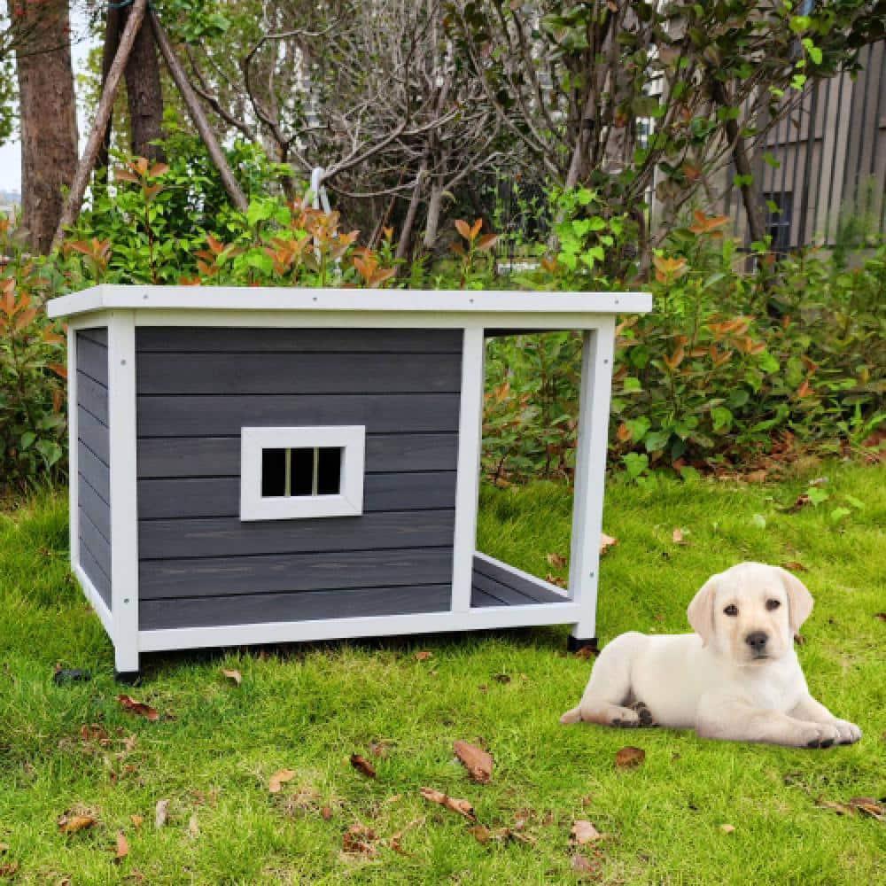 Unbranded Dog House Deck Porch+Waterproof+Retractable Roof+Wood+Outdoor (Medium)