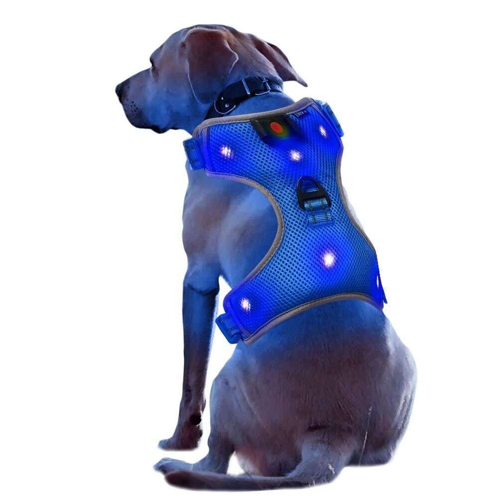 New Large Blue LED Dog Harness Light Up Adjustable Flashing Safety Belt Collar
