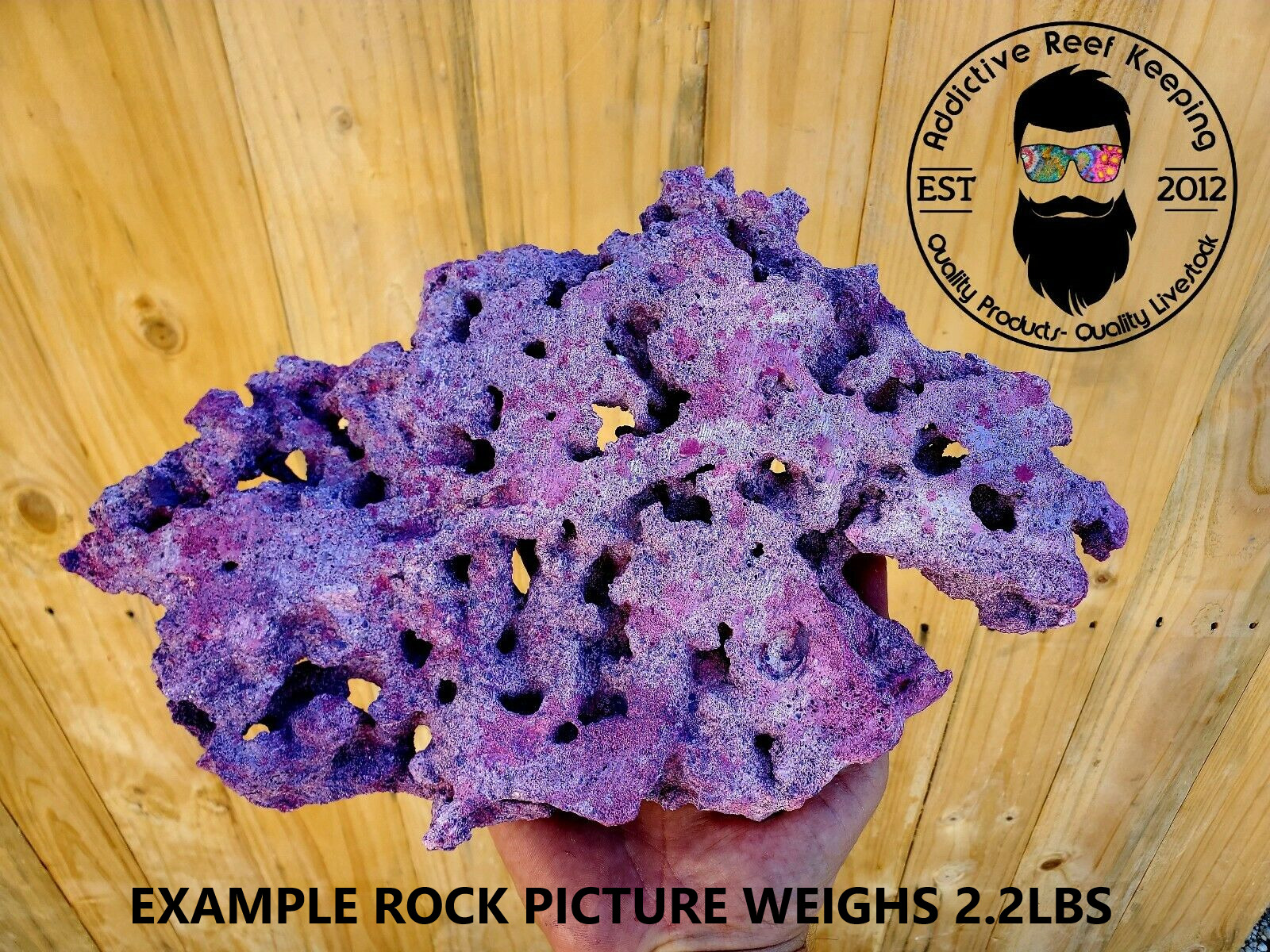 15lbs. Purple Dry Shelf Rock Large 9\