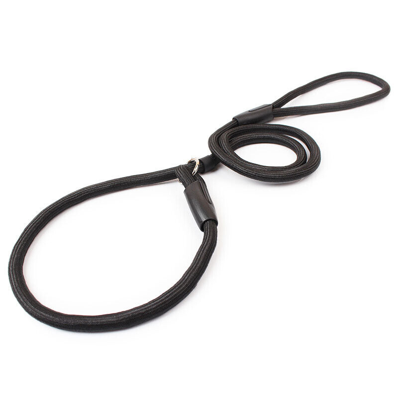 Thick Dog Nylon Adjustable Loop Slip Rope Leash Training Choke Collar 4ft Black