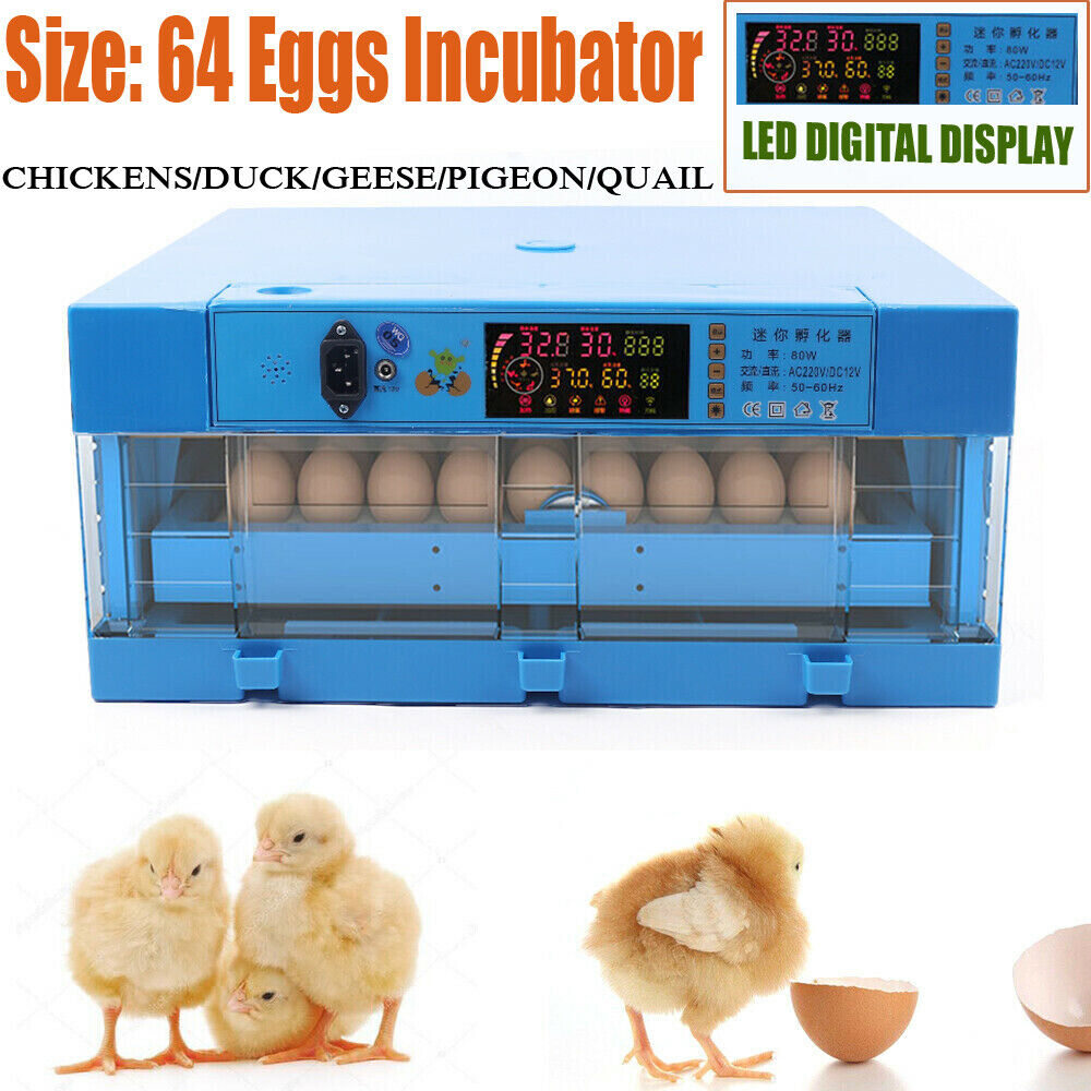 64 Egg Incubator Fully Digital Automatic Hatcher for Hatching Chicken Birds New