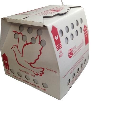 3* Horizon Economy shipping boxes Live Birds 4 Stall-Chicken, Poultry, Pidgeon
