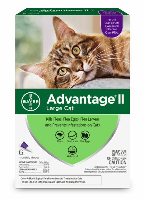 Bayer Advantage II Flea Prevention for Large Cats over 9lbs - 4 Doses