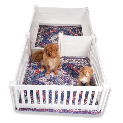 Whelping Box for Dogs - Large | 8ft x 4ft (2 Rooms) | 2 x Azure Blue Pad