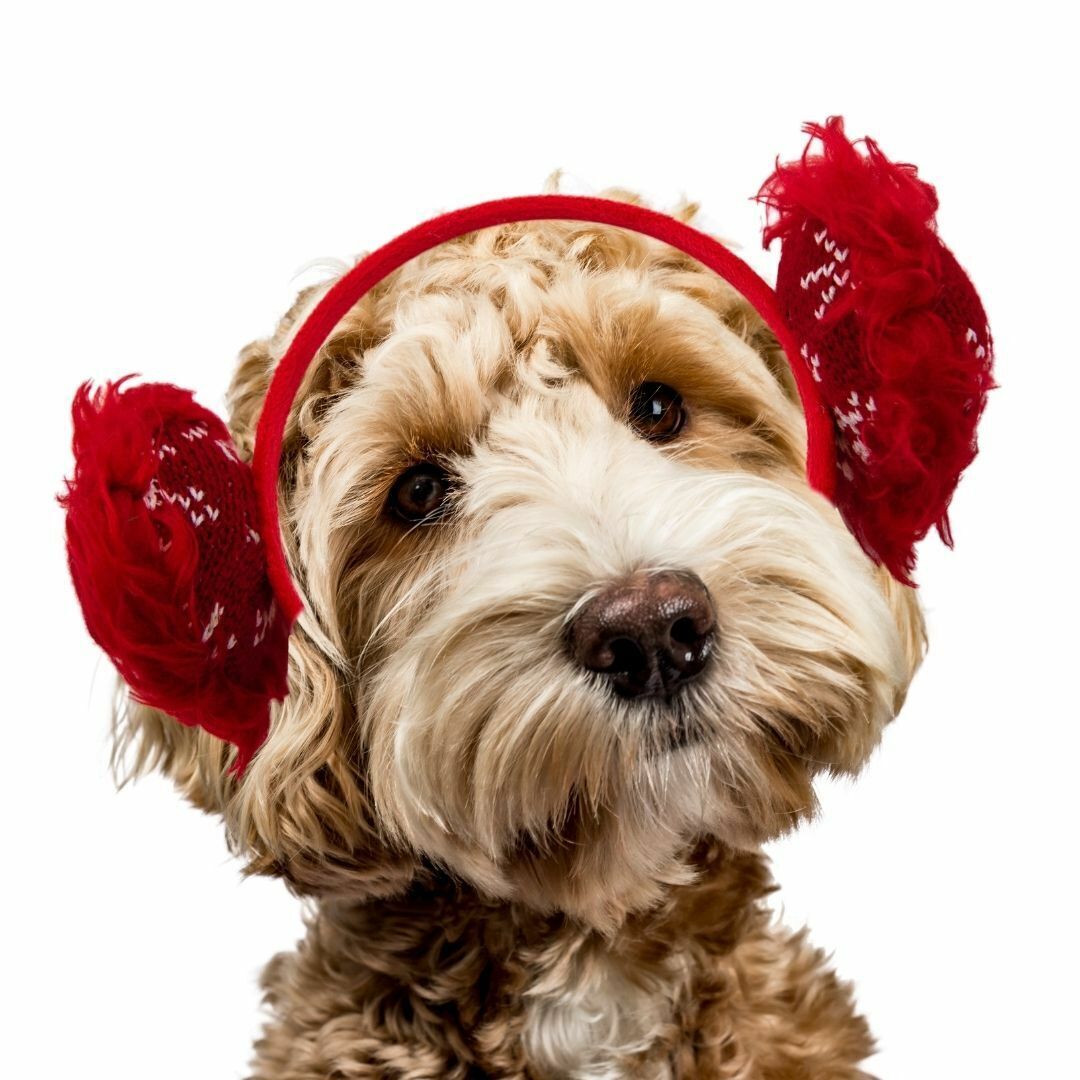 Outward Hound Fluffy Clip-on Holiday Earmuffs for Dogs