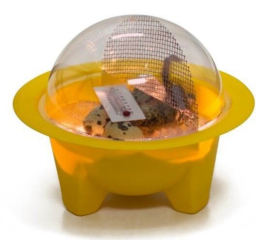 GQF Chickbator Mini Dome Best Small Incubator Chick Egg Hatching School USA Made