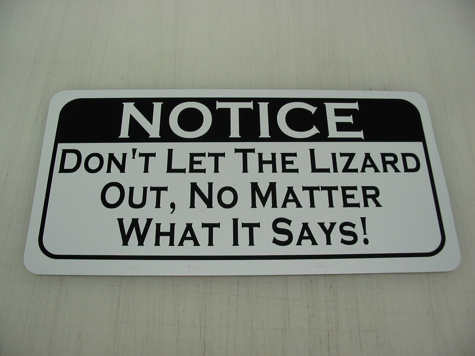 DON\'T LET THE LIZARD OUT Funny Metal Sign Iguana Bearded Dragon Chameleon Skink 