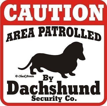 Dachshund Sign Caution Dog