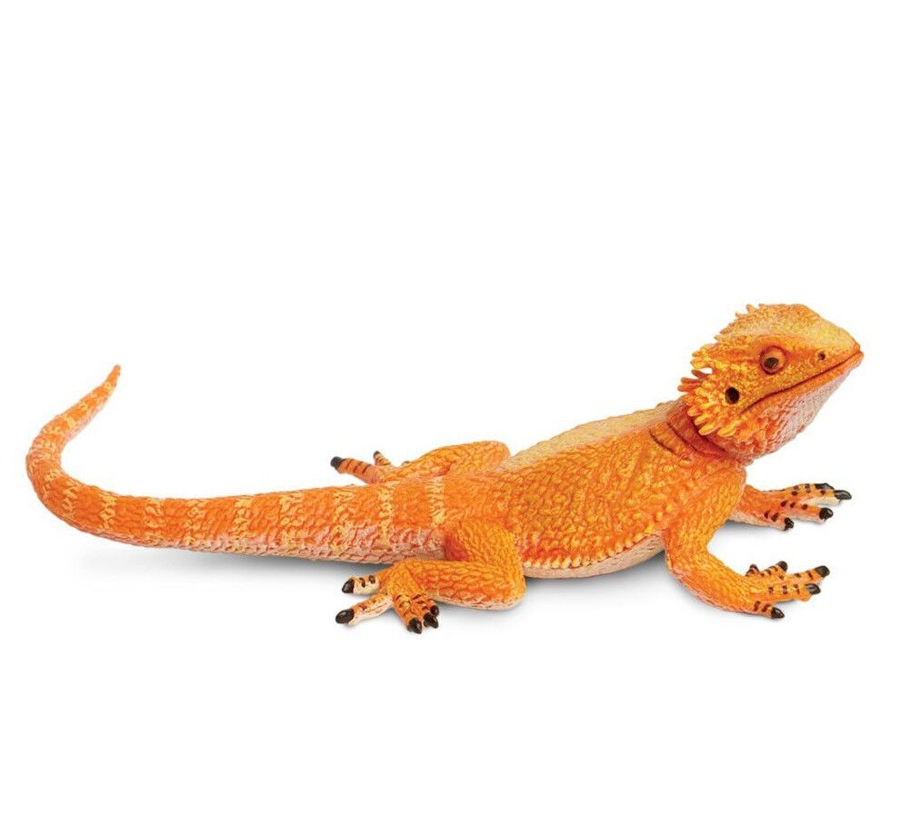 BEARDED DRAGON Lizard Replica # 263129 ~ /USA w/$25+ SAFARI, Products