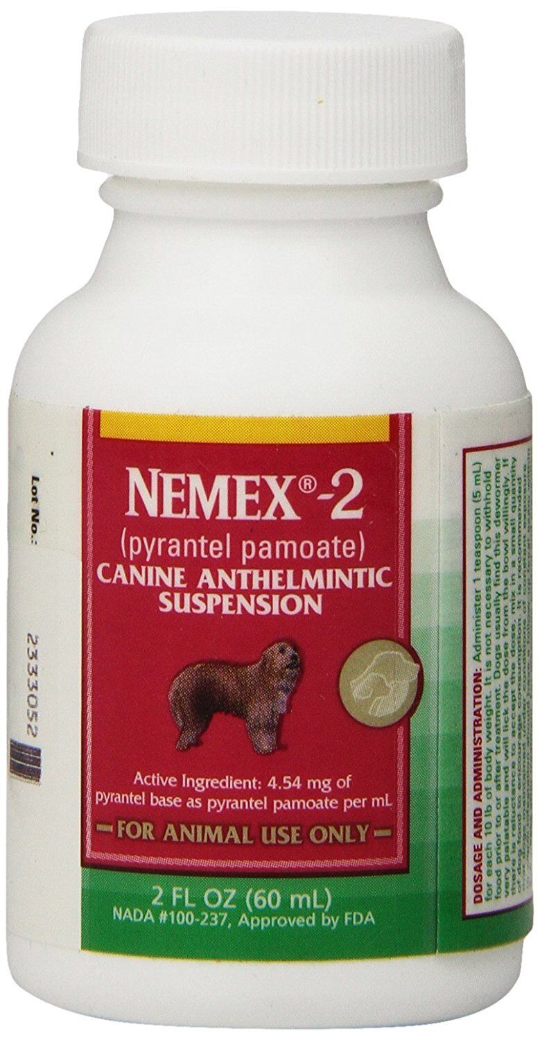 Nemex-2 Canine Pyrantel Pamoate Oral suspension Liquid Dog Wormer 60ml