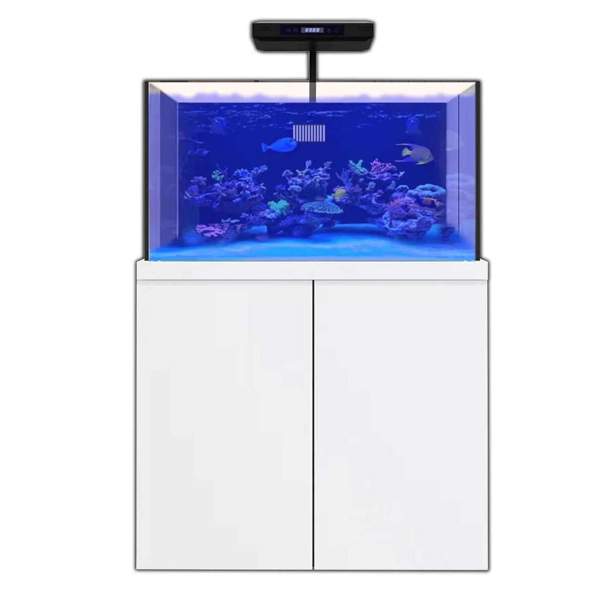 100 Gallon Coral Reef Aquarium Tank with Ultra Clear Glass and Built in Sump