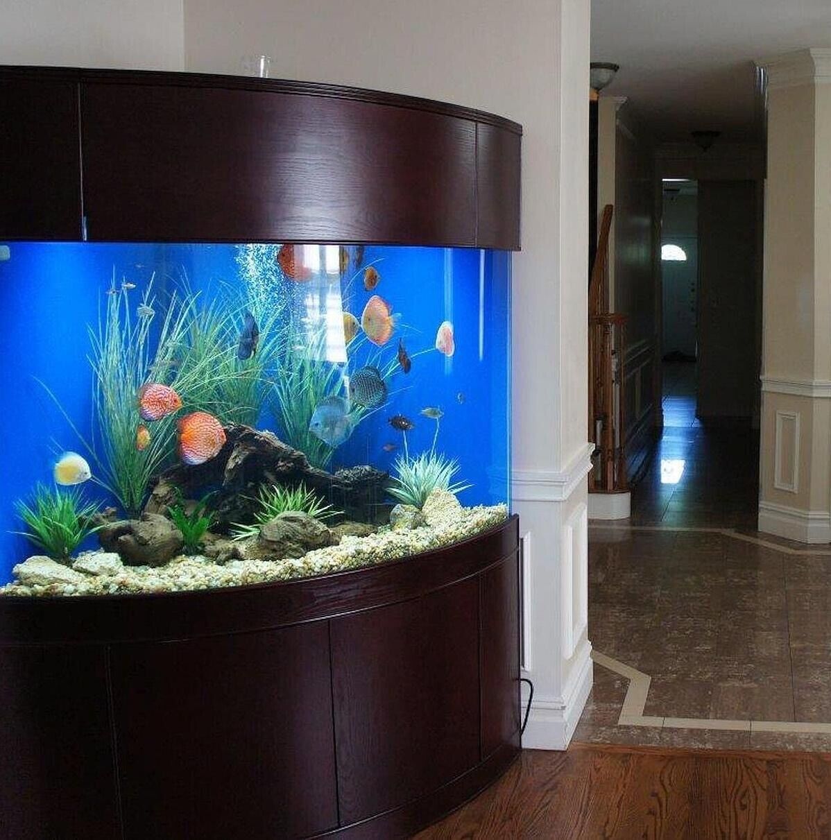 WARRANTY INCLUDED 250 gallon GLASS corner bow aquarium fish tank wood stand