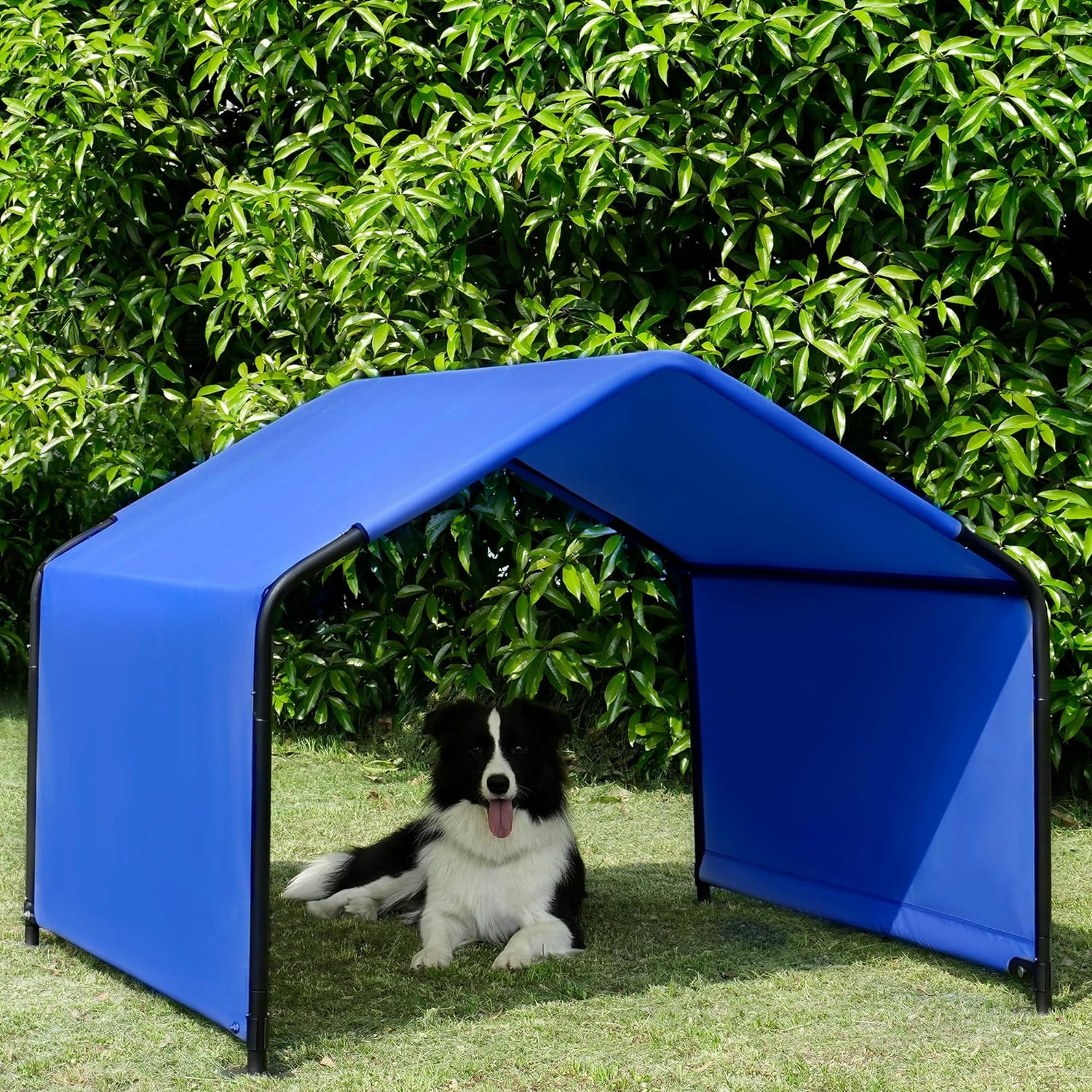 Dog Shade Shelter Outdoor Blue Tent  Large Medium Dogs 4'X4'X3' Sun Rain Canopy 