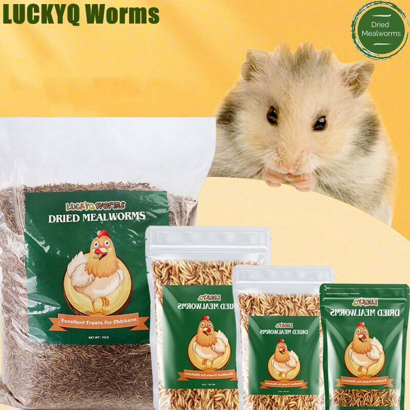 Non-GMO Dried Mealworms Bulk Organic for Wild Blue Bird Food Chickens Hen Treats