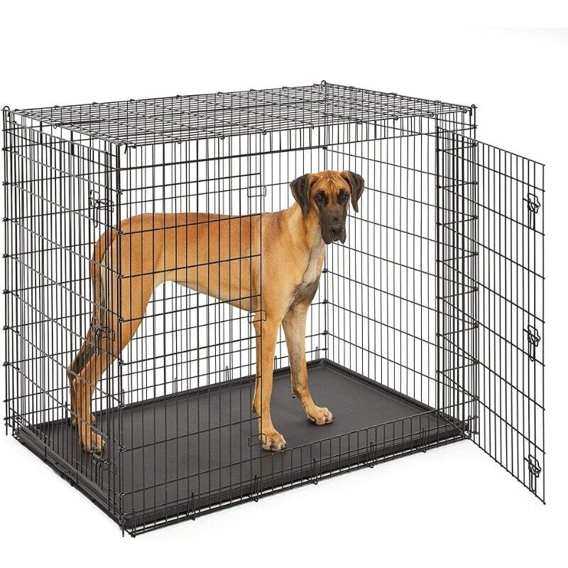 Midwest Homes for Pets SL54DD Ginormus Double Door Dog Crate for Large Dogs