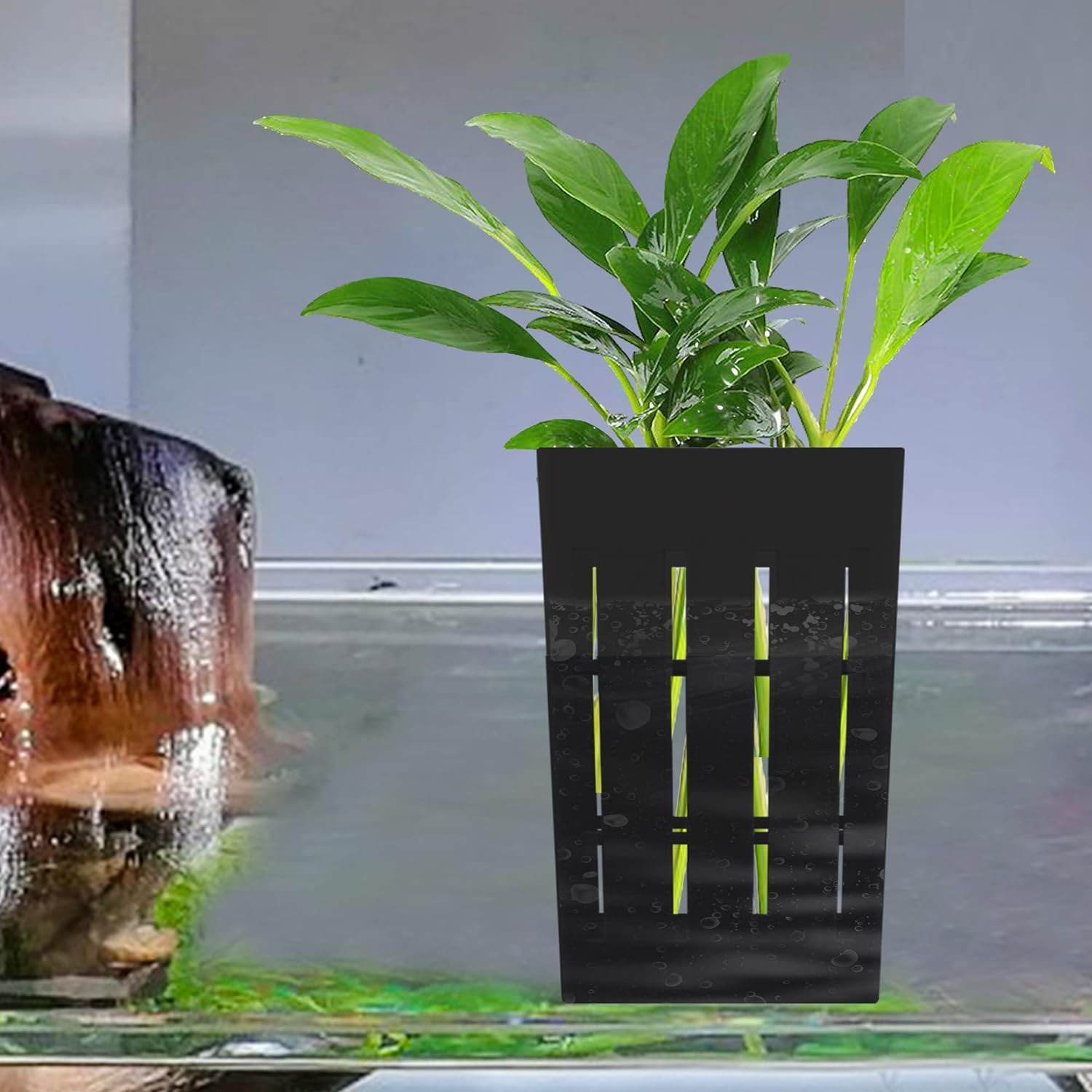 Hanging Aquarium Plant Holder with Hooks - Plastic Aquatic Pot