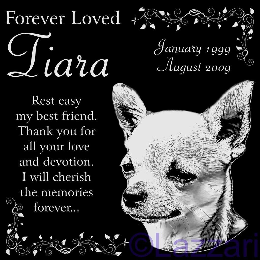 Personalized Pear Chihuahua Dog Pet Memorial 12\