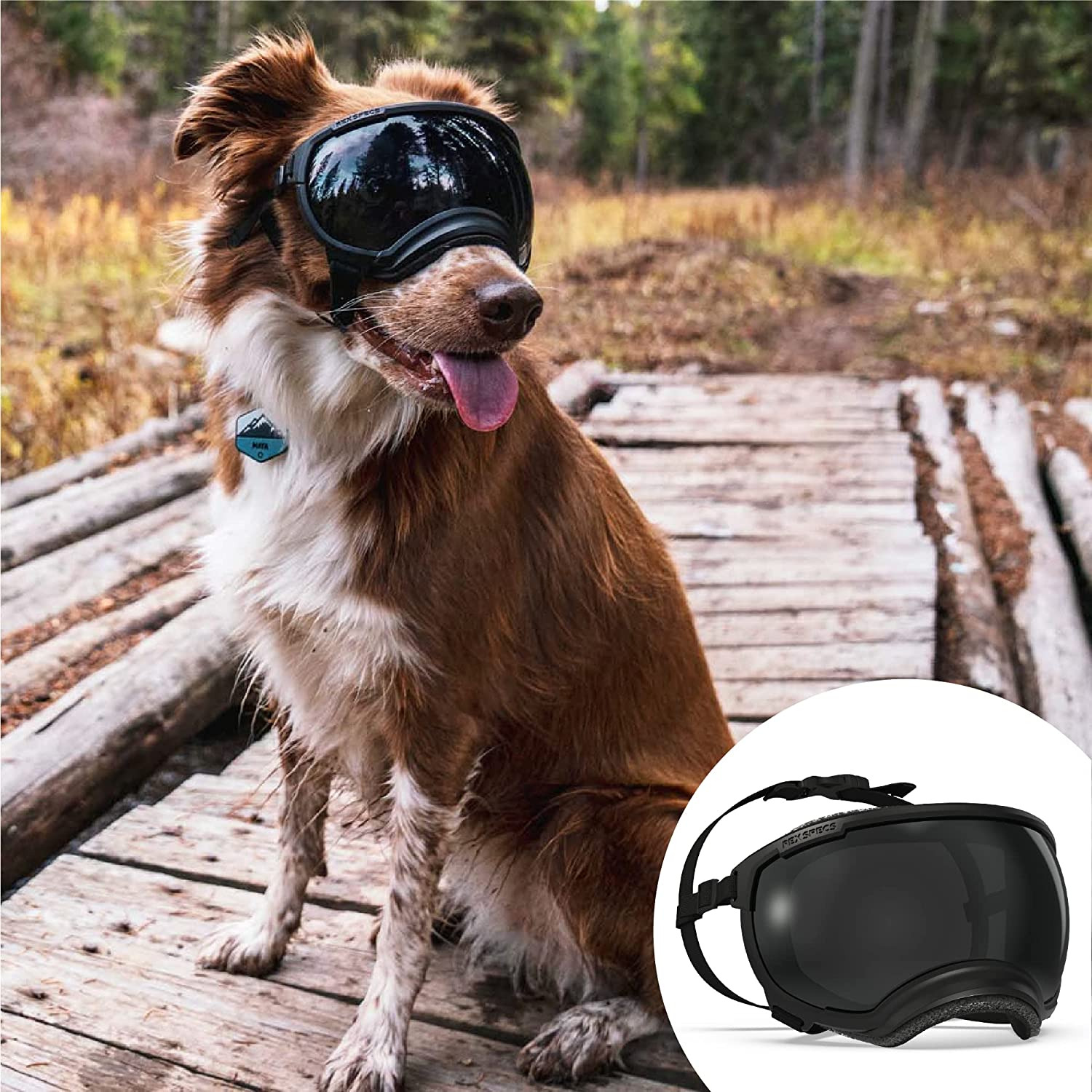 V2 Dog Goggles (X-Large, Black)