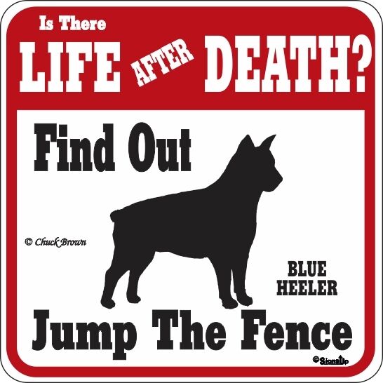 Blue Heeler Life After Death Funny Warning Dog Sign