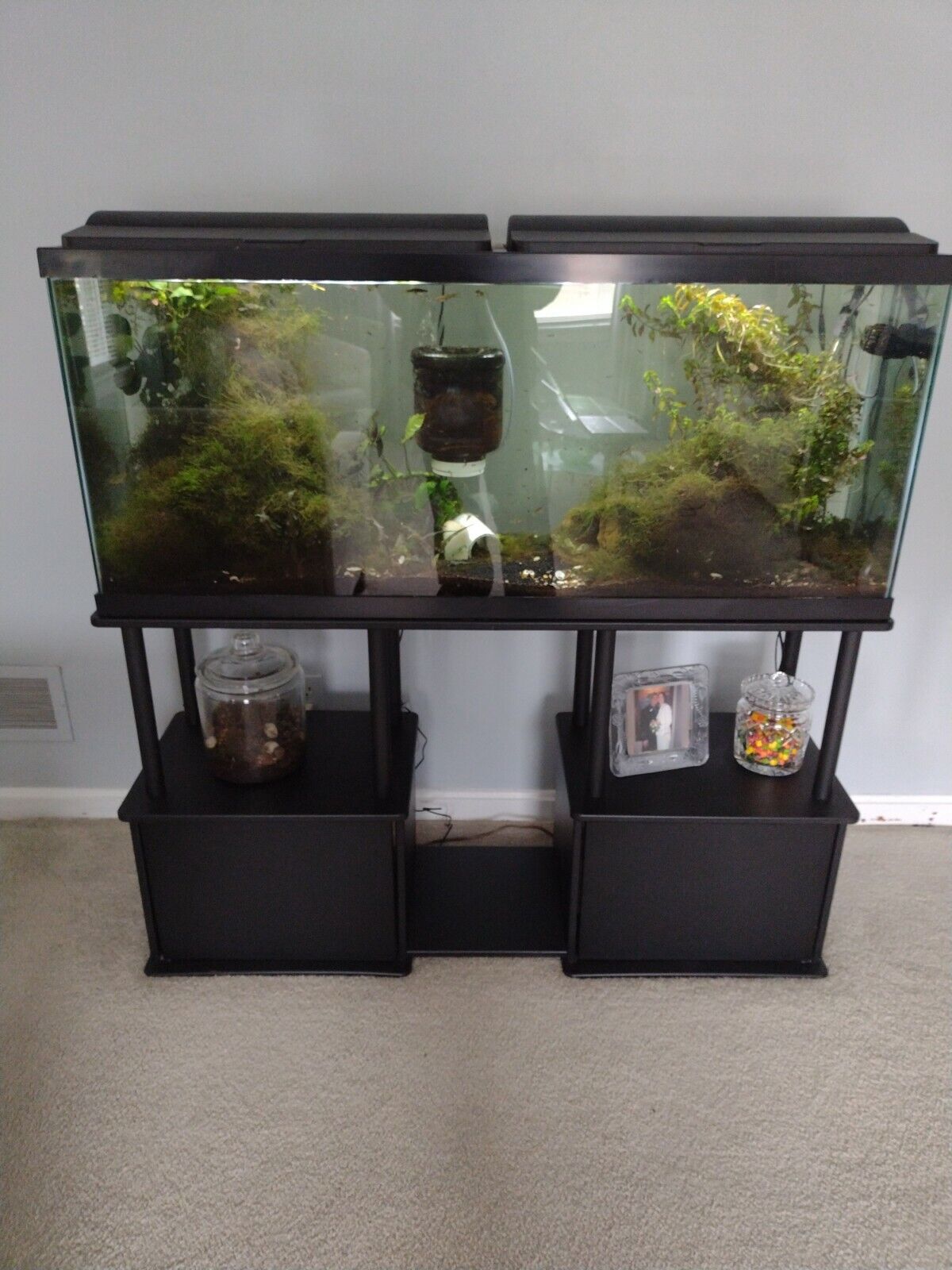 55 Gallon Aquarium with Modern Stand, Hood, LED Lights, and Heater