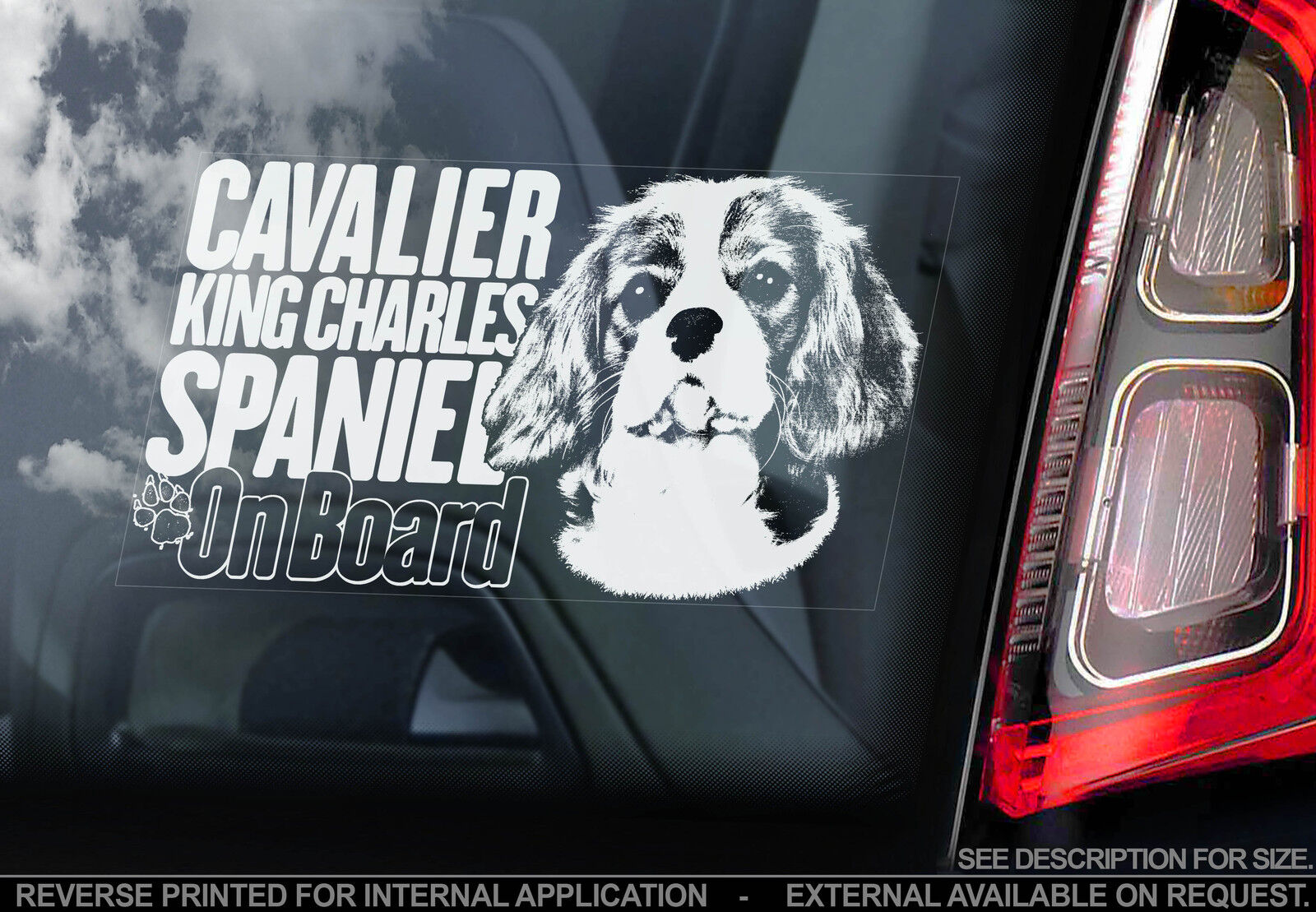 Cavalier King Charles Spaniel - Dog Car Window Sticker - Sign - n.Harness/Collar