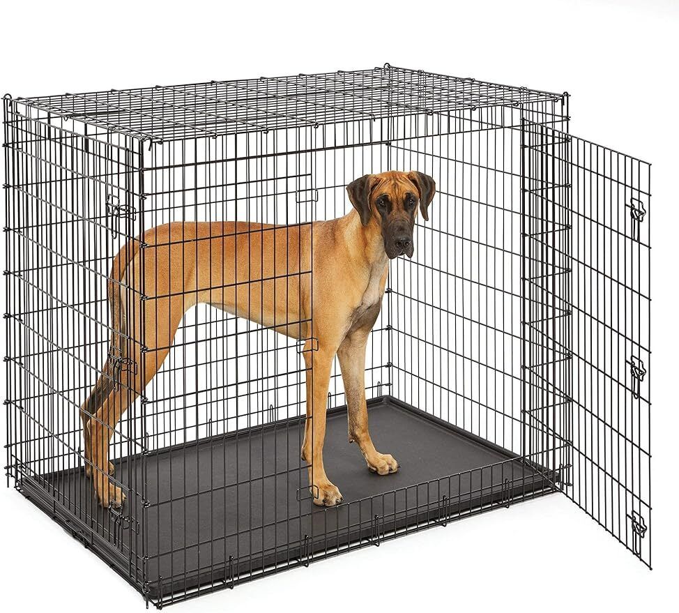 SL54DD Ginormus Double Door Dog Crate for XXL for the Largest Dogs Breeds, Great