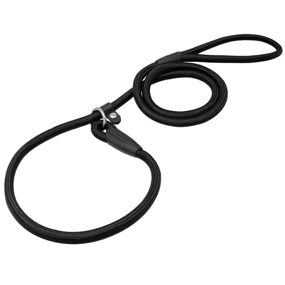 Nylon Rope Slip Dog Lead 5ft Pet Collar Training Show Leash Red Black Blue Brown
