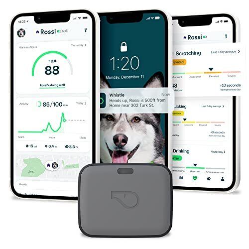 Go Explore/The Ultimate Health + GPS Location Tracker for Pets/Grey