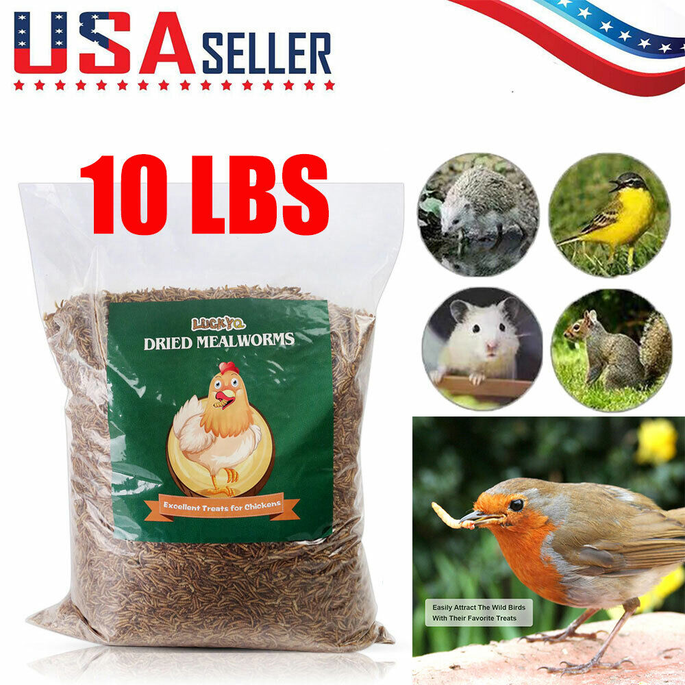 10 LBS Bulk Dried Mealworms for Wild Birds Food Blue Bird Chickens Hen Treats
