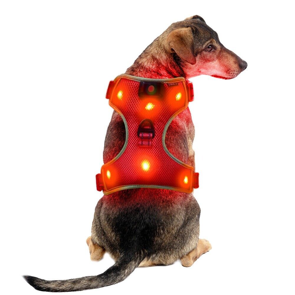 New Medium Red LED Dog Harness Light Up Adjustable Flashing Safety Belt Collar