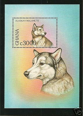 Rare Dog Art Head Study Postage Stamp Souvenir Sheet ALASKAN MALAMUTE Ghana MNH
