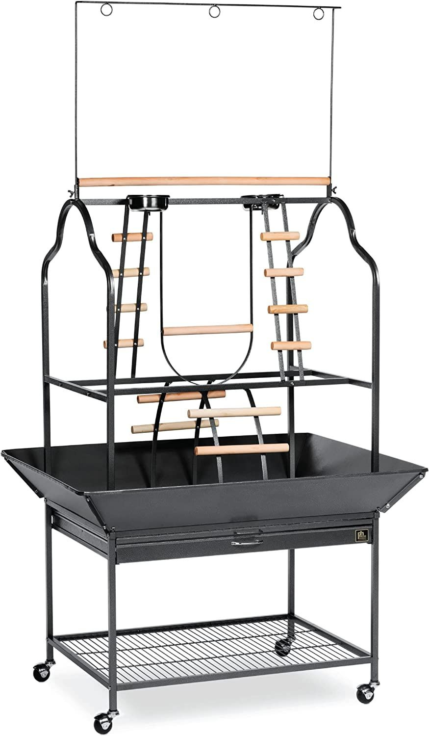 Prevue Pet Products Hendryx 3180 Parrot Playstand, Black... 