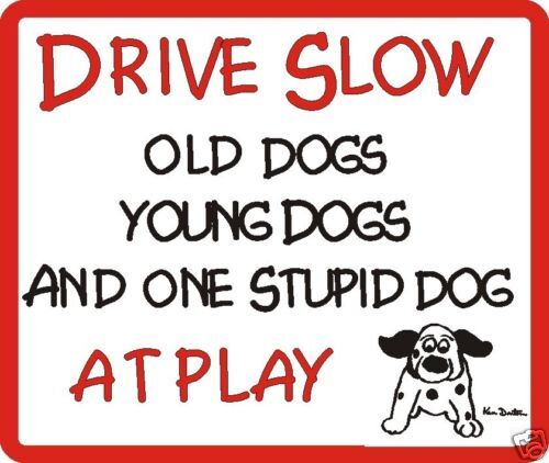 Drive Slow Stupid Dog Sign 