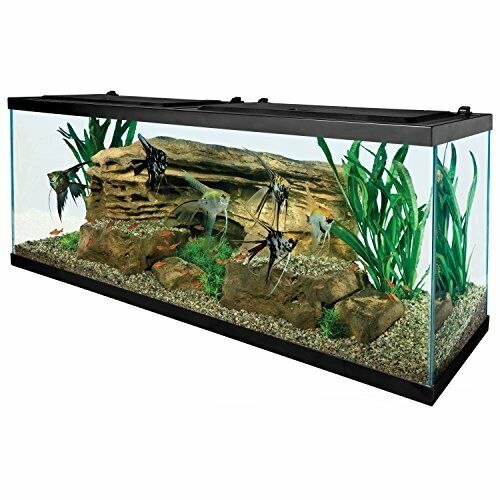 Tetra 55 Gallon Aquarium Kit with Fish Tank, Fish Net, Fish Food, Filter, Heater