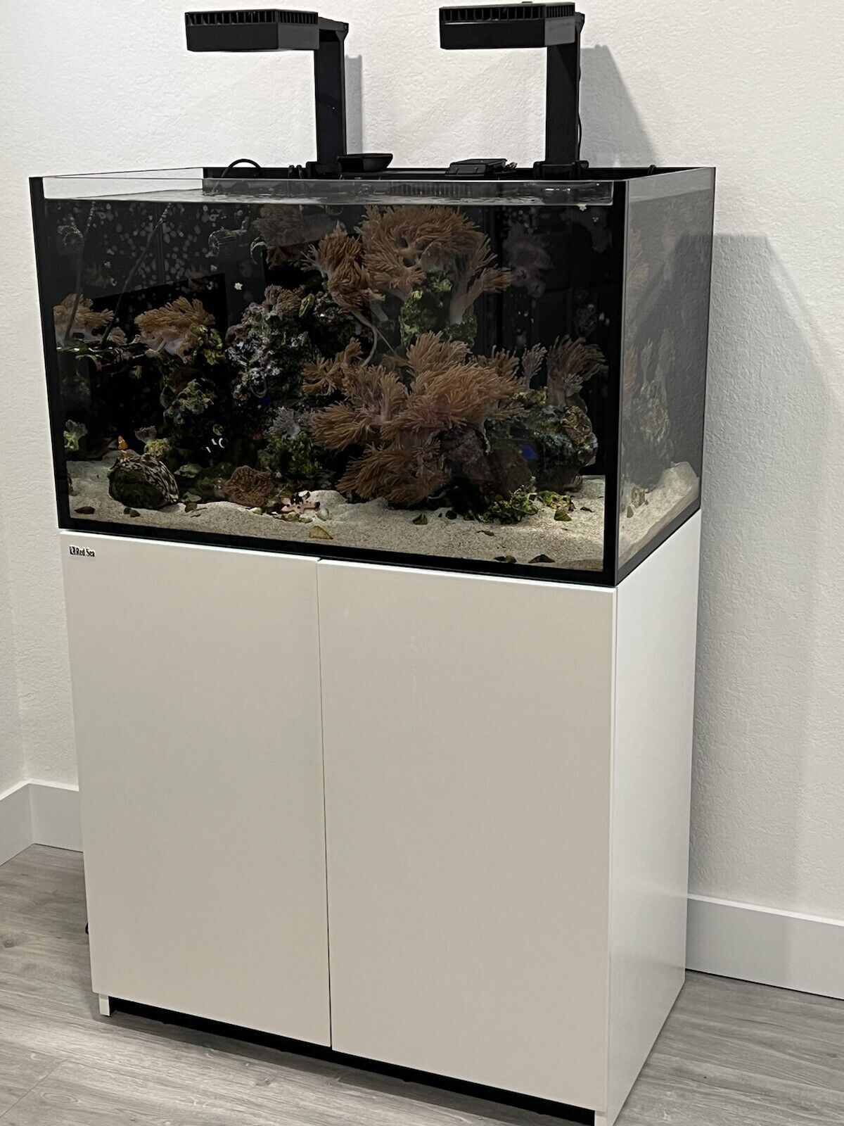 Redsea 70G Fish Tank with RedSea Dual Lights Skimmer and Ultra Quiet Pump EXTRAS