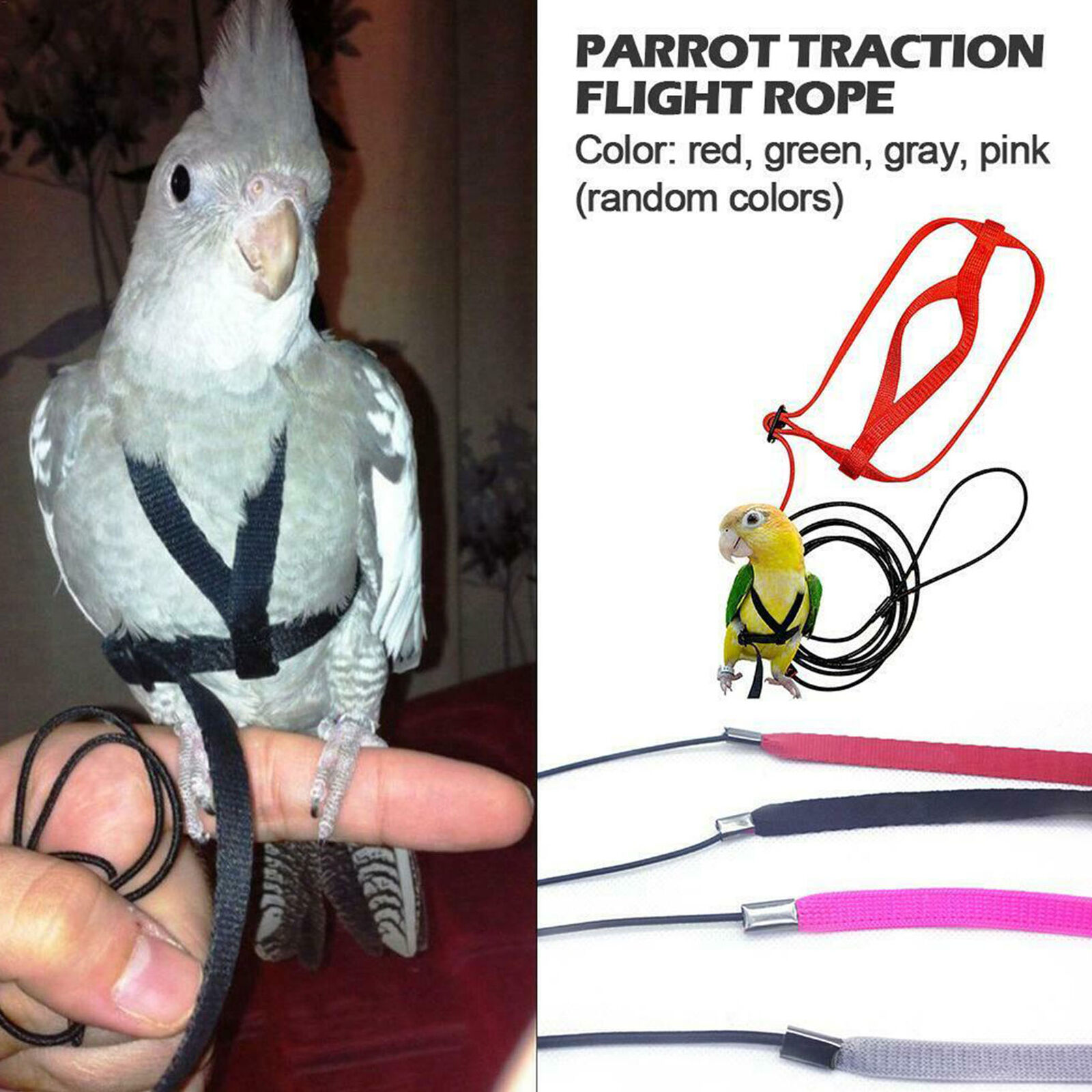 Pet Parrot Bird Harness Lead Leash Flying Training Rope Cockatiel Outdoor
