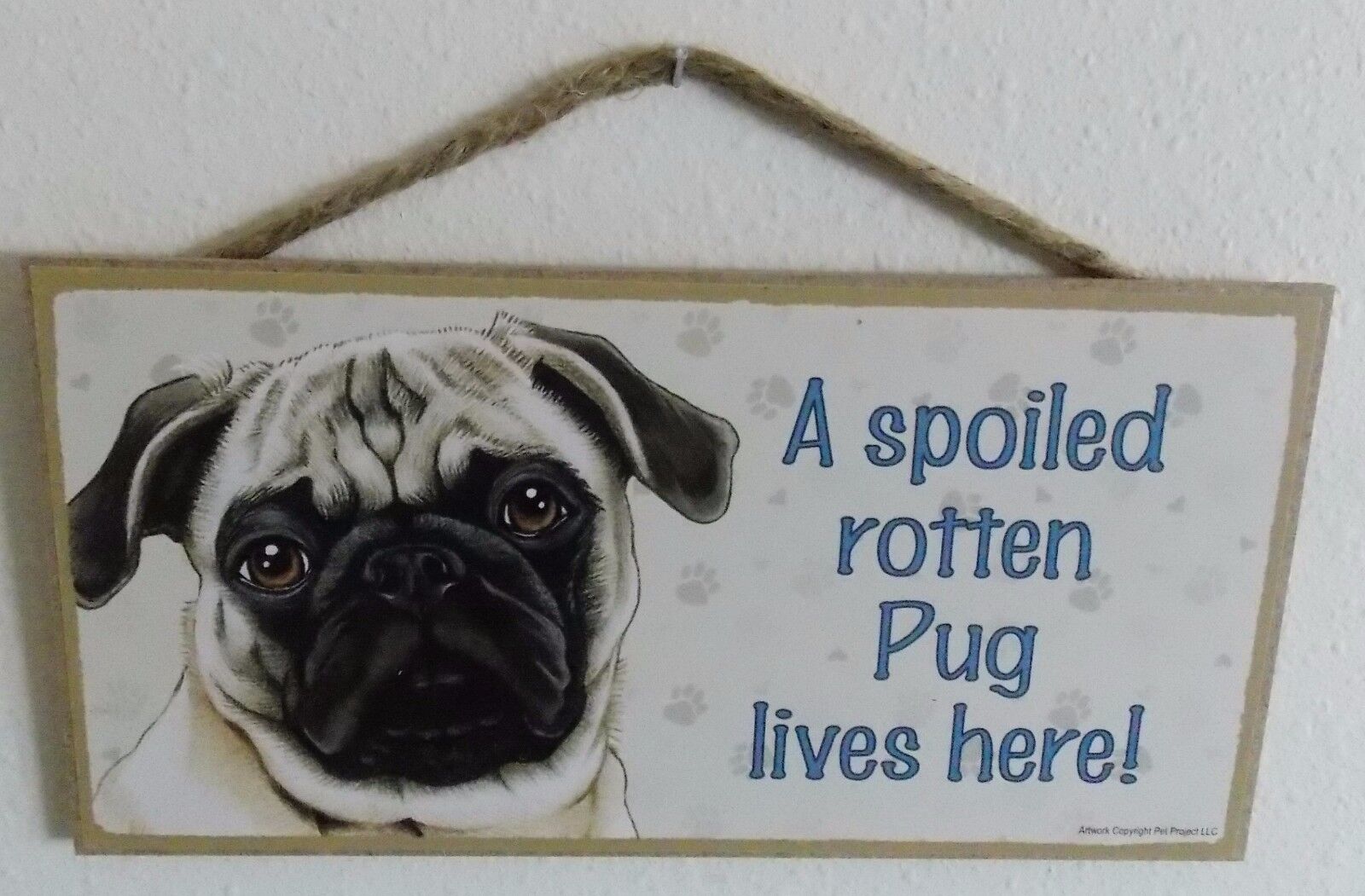 A SPOILED ROTTEN PUG LIVES HERE  5