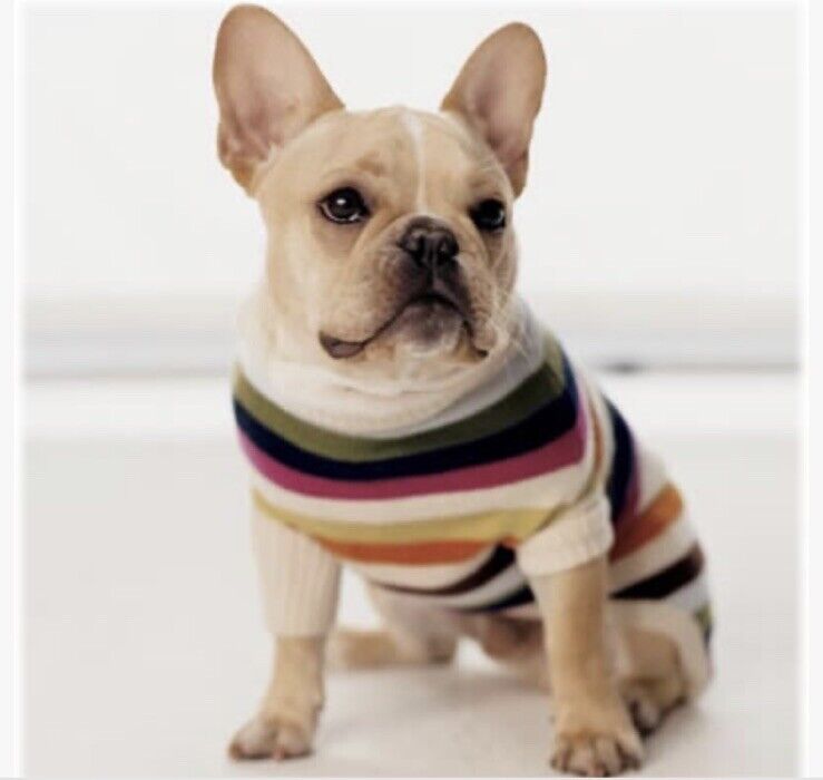 Coach Dog Sweater Legacy Stripe CASHMERE Coat Pet - S